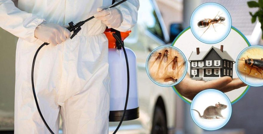 Osmangazi Böcek İlaçlama