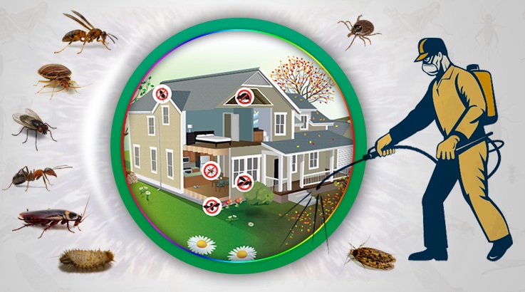 Osmangazi Böcek İlaçlama