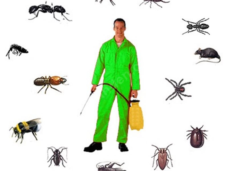 Osmangazi Böcek İlaçlama